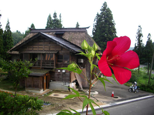 07.JPG