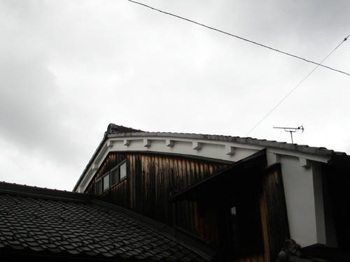 IMGP2359.JPG