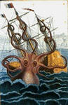 78514eae.jpg