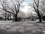 CA3H0055.JPG