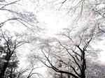 CA3H0057.JPG