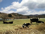 CA3H0069.JPG