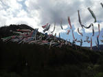 CA3H0080.JPG