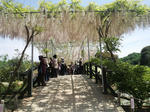 eb82cc60.JPG