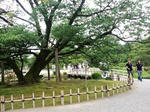 CA3H0247.JPG