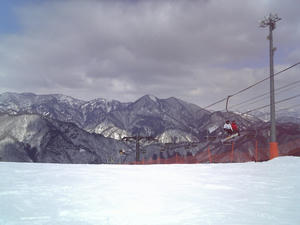 20090128_115800.jpg