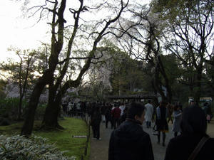 20090329_171456.jpg