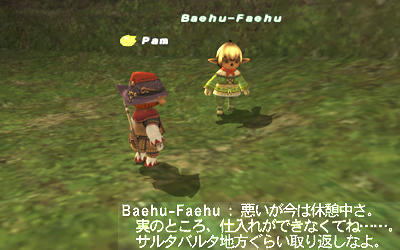 FFXI00006.jpg
