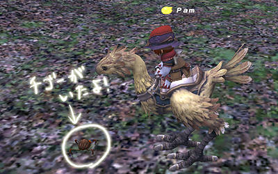 FFXI00019.jpg