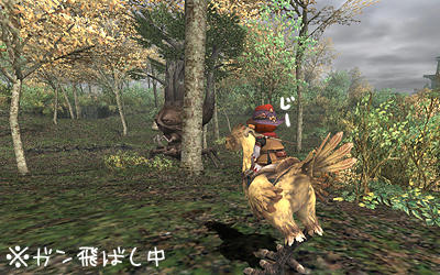 FFXI00020.jpg