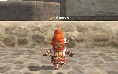 FFXI00124.jpg