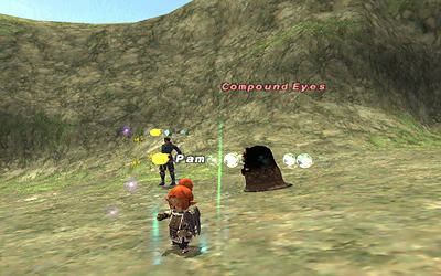 FFXI00047.jpg