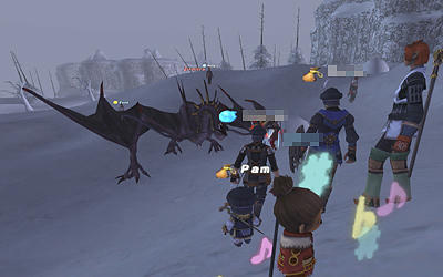 FFXI00074.jpg