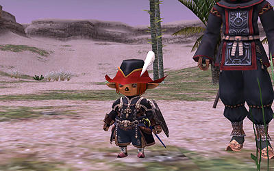 FFXI00095.jpg
