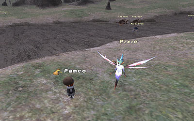 FFXI00172.jpg