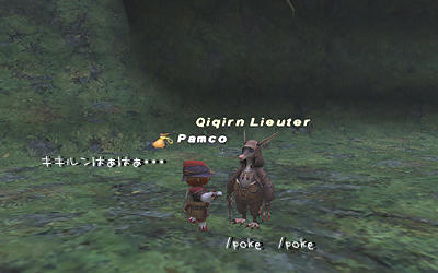 FFXI00159.jpg