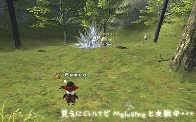 FFXI00174.jpg
