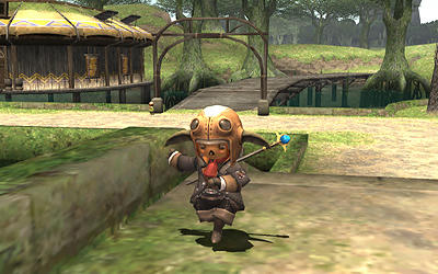 FFXI00238.jpg