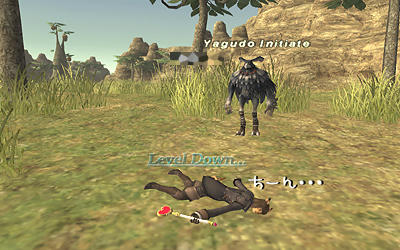 FFXI00240.jpg