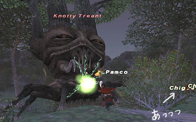 FFXI00226.jpg