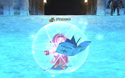 FFXI00253.jpg