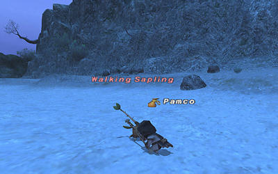 FFXI00254.jpg