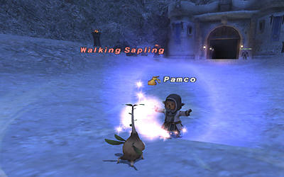 FFXI00255.jpg