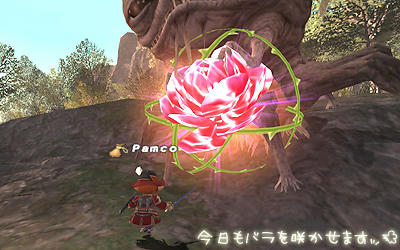FFXI00267.jpg