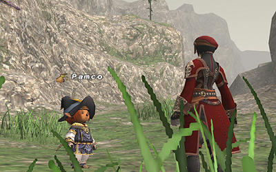FFXI00413.jpg