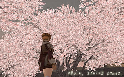FFXI00534.jpg