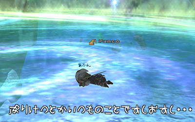 FFXI00543.jpg