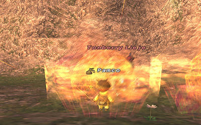 FFXI00544.jpg