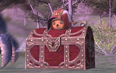 FFXI00546.jpg