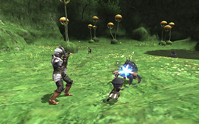 FFXI00649.jpg