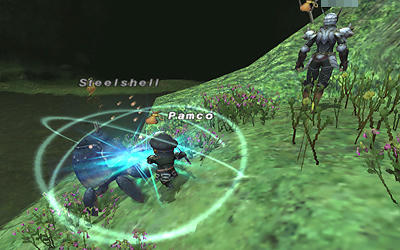 FFXI00650.jpg
