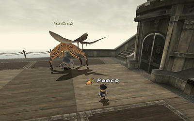 FFXI00581.jpg