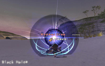 FFXI00615.jpg