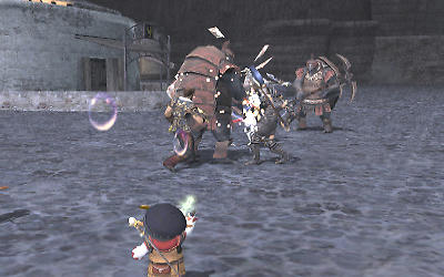 FFXI00679.jpg