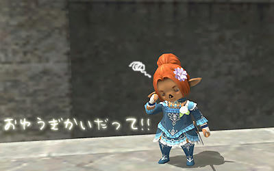 FFXI00686.jpg