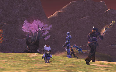 FFXI00598.jpg