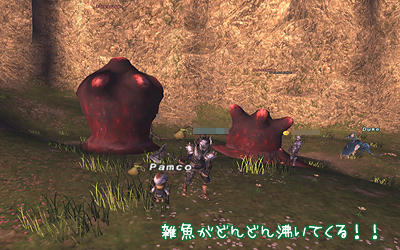 FFXI00602.jpg