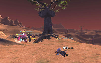 FFXI00606.jpg