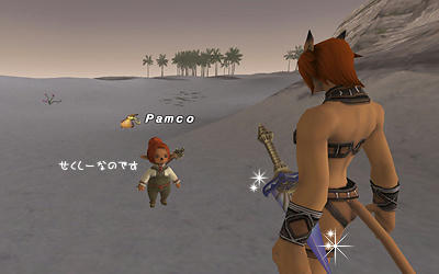 FFXI01137_2.jpg