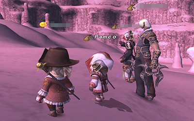 FFXI01231.jpg