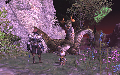 FFXI01309.jpg