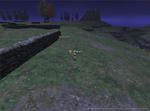 Rou100710230304b.jpg