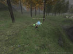 Rou100712184928a.jpg
