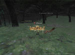 Rou100713230240a.jpg