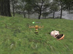 Rou100715223649f.jpg