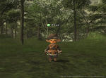 Rou100725163635a.jpg
